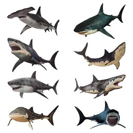8 Pieces of Shark Wall Stickers for Marine Animals, Easy to Peel and Post, Suitable for Children's Bedrooms, Classrooms, and Parties