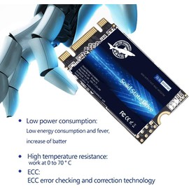 Dogfish SSD SATA M.2 2242 256 GB Ngff Unidad de estado sólido interna de alto rendimiento, disco duro de computadora SATA III 6 Gb/(256 GB x 2 paquetes)