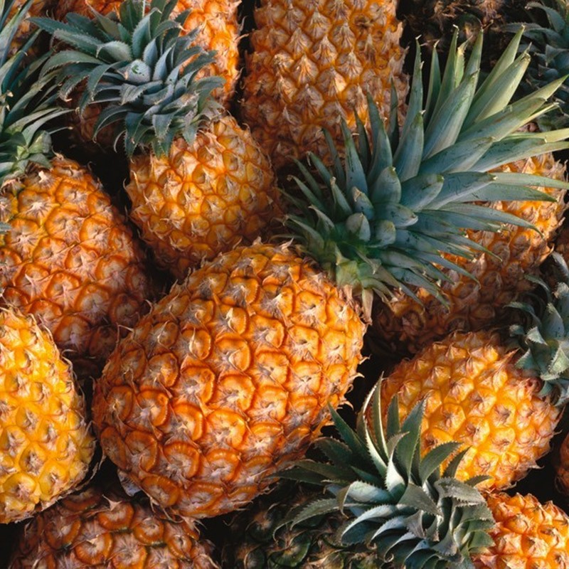 High Potency Pineapple Enzyme Bromelain Quercetin 30 Pack Stick Quercetin
