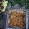 Power Munch | Deer Feed Supplement With Probiotics for Maximum