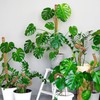 HUYUE Monstera Moss Rod for Climbing Plants 125 cm
