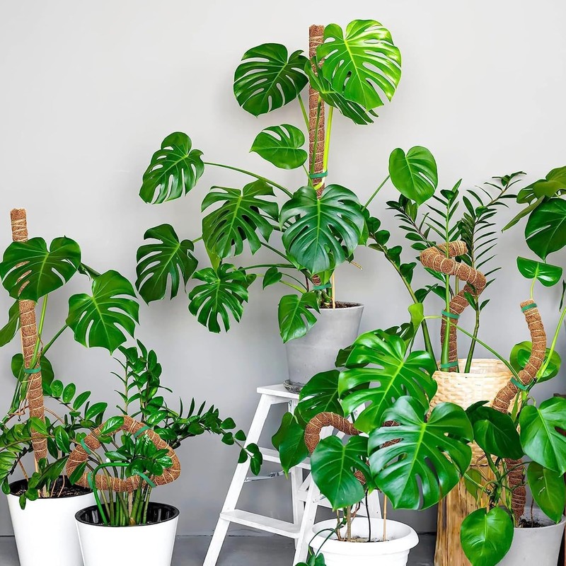HUYUE Monstera Moss Rod for Climbing Plants 125 cm