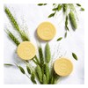 Duck Pan Gold Home Set (55g 4 pieces) 1 set