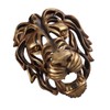 Lion Head Art Wall Decor Resin Vivid Lion Head Wall