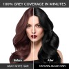 Hair Dye Shampoo 3 In 1-herbal Ingredients Instant Hair Zzz