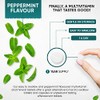 Vegan Multivitamins and Minerals - 1 Year Supply – Peppermint