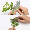 Herb Stripping, 9 Hole Herb Stripping, Stainless Steel Kitchen Herb