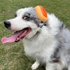 derYEP Dog Earmuffs GEN2 for Hearing Protection 30dB NRR Ear