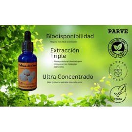 Extracto Triple De Melena De León Orgánico Ultra Concentrado                                                                                          