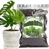 Doter Monstera Potting Soil 4qt - Premium Tropical Blend with
