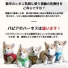 PUPPIA Dog Harness, Ultra Small, Small, Medium-Sized Dogs, Large Dogs,