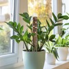 Plant Plastic Moss Pole Moss Supports Climbing Plant Poles Tortoise