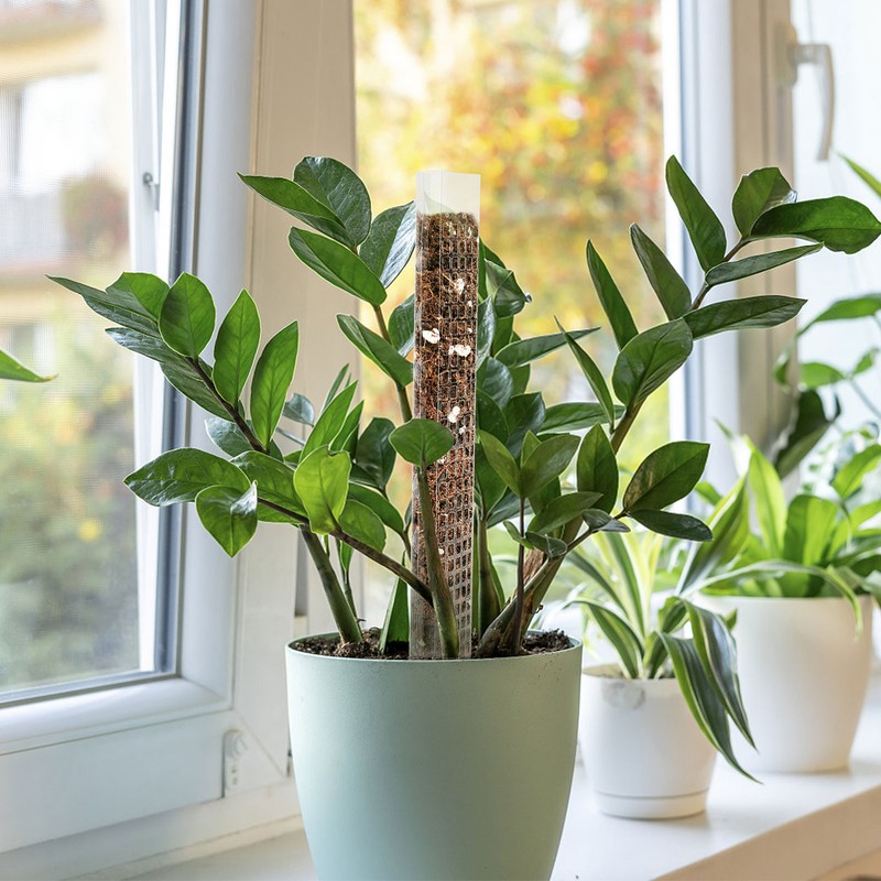 Plant Plastic Moss Pole Moss Supports Climbing Plant Poles Tortoise