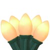 Opaque C7 Christmas String Lights - Clear - 24' Green