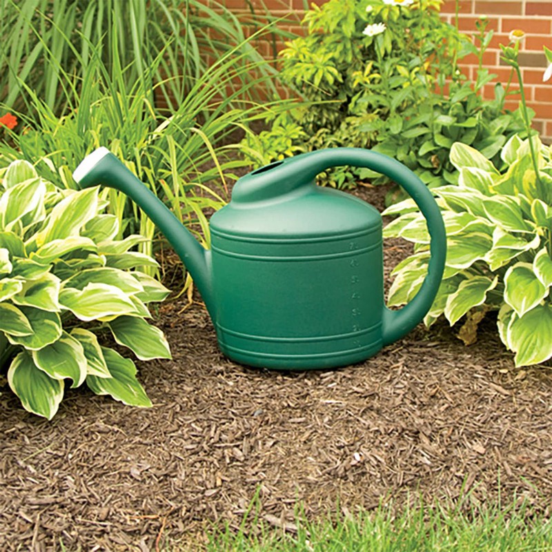 Southern Patio 2 Gallon Watering Can, Fern