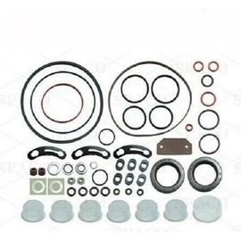 Arko 24372 Diesel Injection Pump Kit For Stanadyne Roosa Master DM2 DM4 Pumps