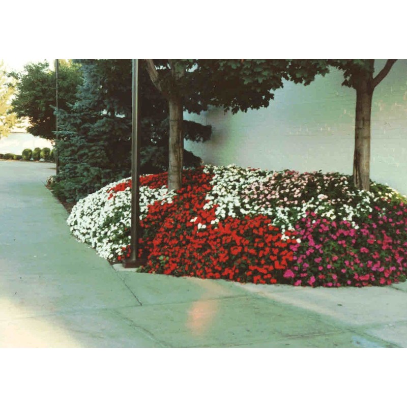 Soil Moist 100047000 JCD-012SM 3-Ounce Bag, Multicolor