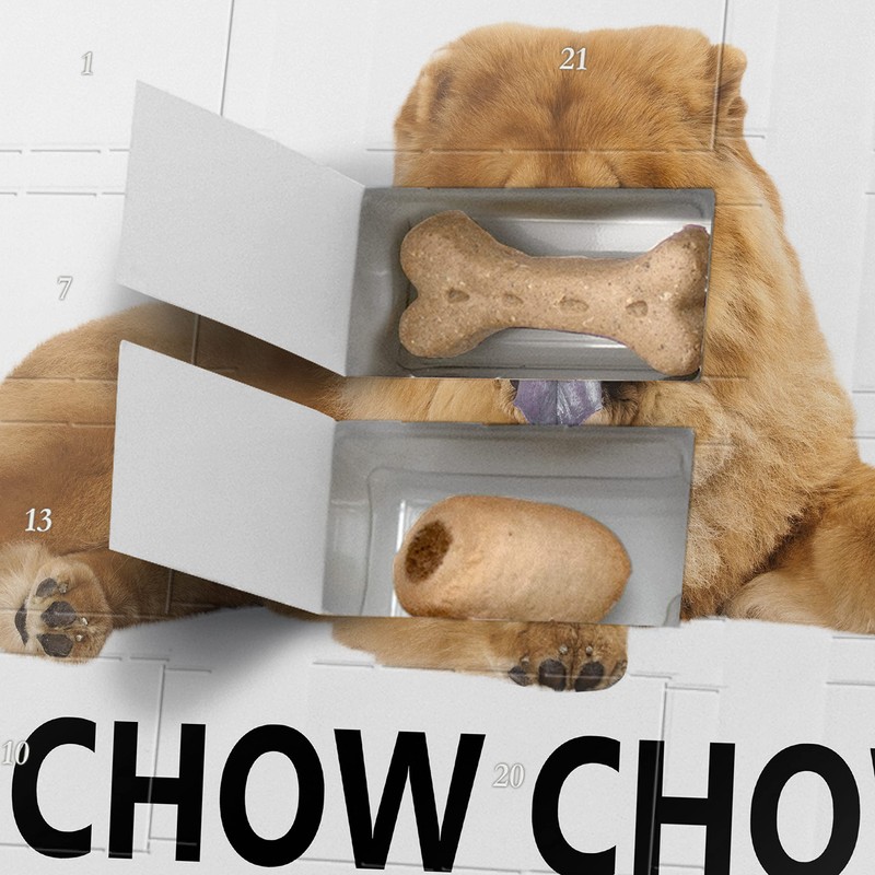 printplanet Dog Advent Calendar with Treats - Motif I Love