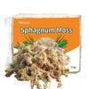 Yilotuce 11 oz Sphagnum Moss for Plants, Carefully Selected Clean