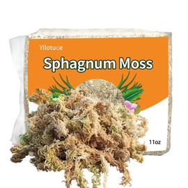 Yilotuce 11 oz Sphagnum Moss for Plants, Carefully Selected Clean Sphagnum Mos for Rooting Plants