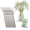 Twigs GA - Plant Support Stakes, Stem Holder Structures for