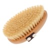 Gatuida Ergonomic Back Exfoliating Brush with Natural Bristles Nonslip Handle