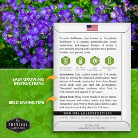 Tussock Bellflower Seed for Planting - 1 Packet with Instructions to Plant and Grow Campanula carpatica in Your Home Flower Garden - Non-GMO Heirloom Variety - Survival Garden Seeds