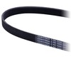 CONTITECH 6PK1080 V-Ribbed Belt
