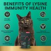 VetriScience Lysine Immunity Health Chews, 250 mg Lysine Plus Immune