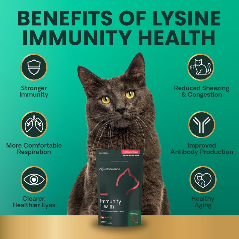 VetriScience Lysine Immunity Health Chews, 250 mg Lysine Plus Immune