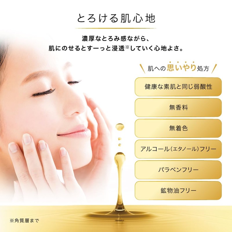 HADA LABO Gokujun Premium Hyaluronic Lotion Refill 170mL 2-piece set