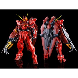 MG 1/100 RGX-00 Testament Gundam Model kit