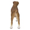 Hi-Line Gift Boxer Dog Standing
