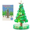 Playwrite Magic Growing Christmas Tree