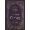 Concise Theology