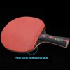 5 Star Professional Ping Pong Paddle Advanced Training Table Tennis