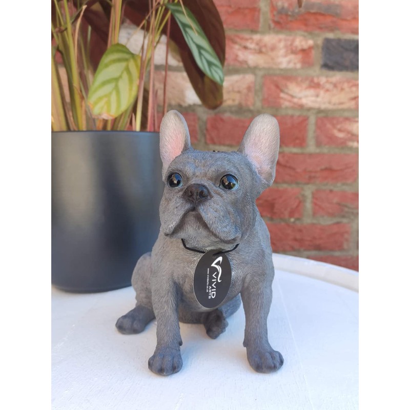 Vivid Arts (Blue French Bulldog Sitting