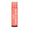 Burt's Bees Tinted Lip Balm, Zinnia, 1 Pack