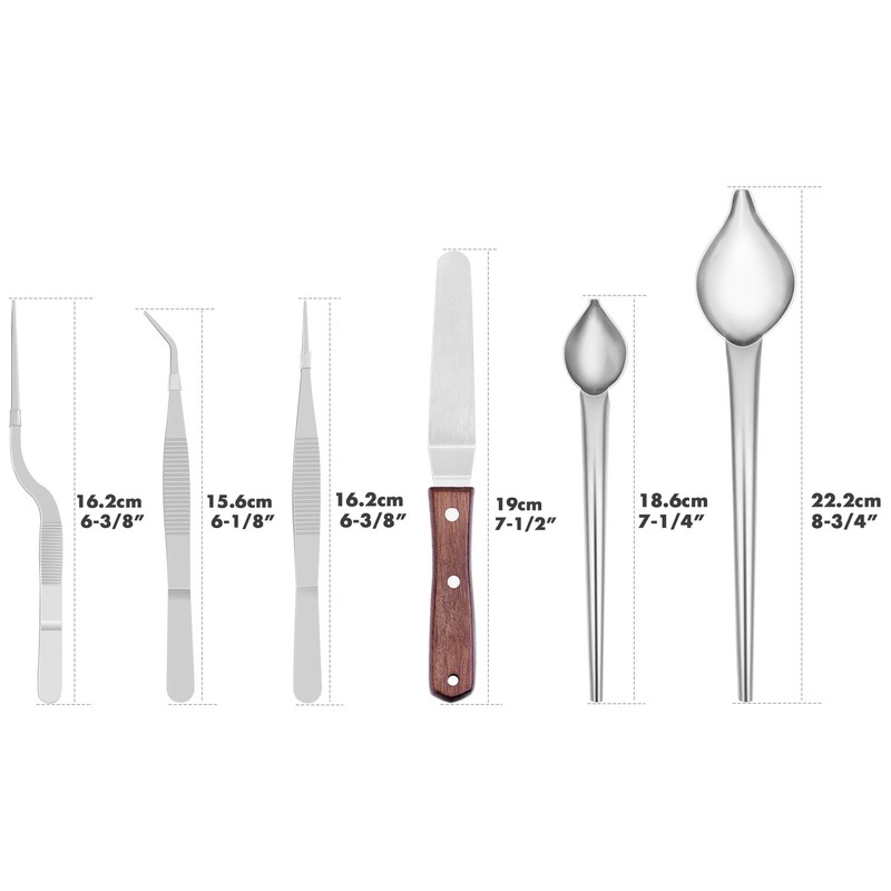 Cridoz 6 Pcs Stainless Steel Kitchen Cooking Tweezers Precision Tongs