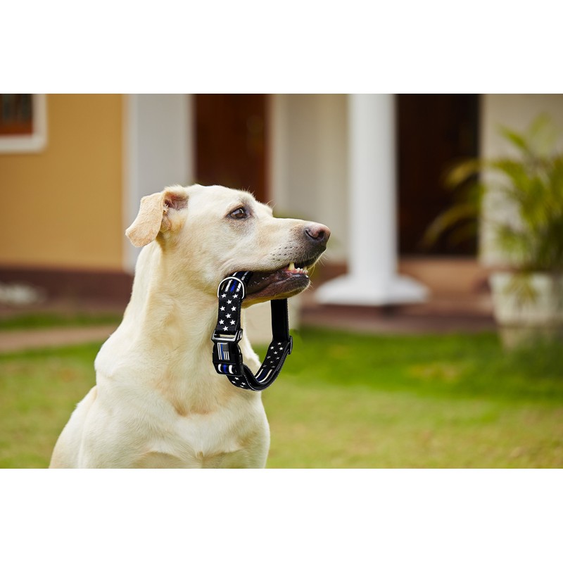 Dog Collar - Thin Blue Line (2 Styles Available)