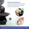 Feeding Friend Automatic Dog & Cat Food Feeder with Water