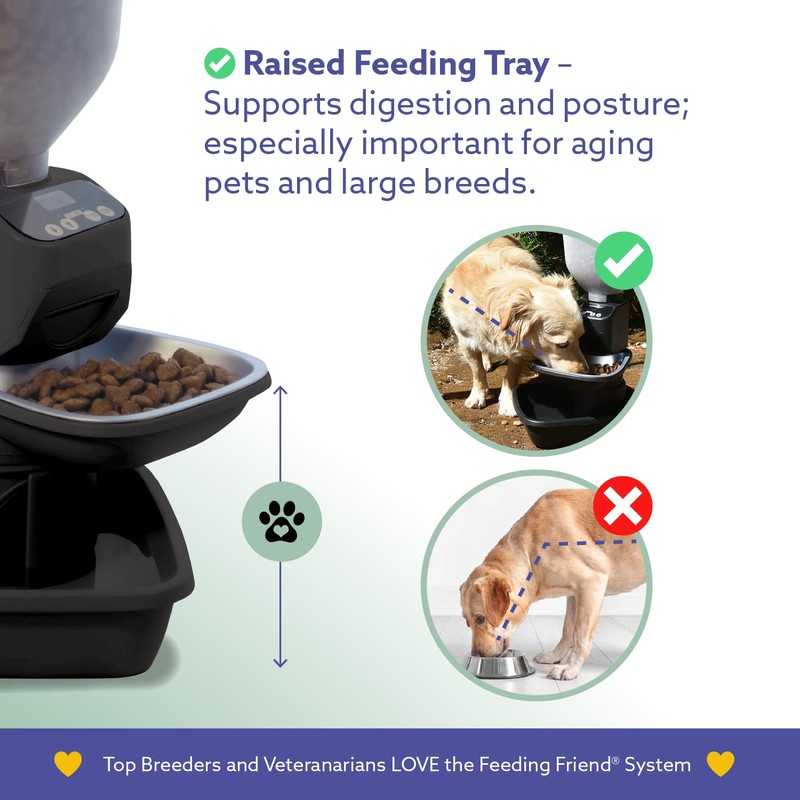 Feeding Friend Automatic Dog & Cat Food Feeder with Water