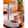 Chazcool Pet Water Dispenser, Pet Standing Water Dispenser Bowl, 2