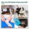 Kuoser Dog Surgery Suit Female Spay, Male Dog Recovery Sleeve