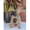 Vivid Arts (Sitting French Golden Bulldog