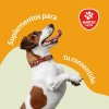 Suplemento Alimenticio Para Perros/gatos Con Colágeno 70g