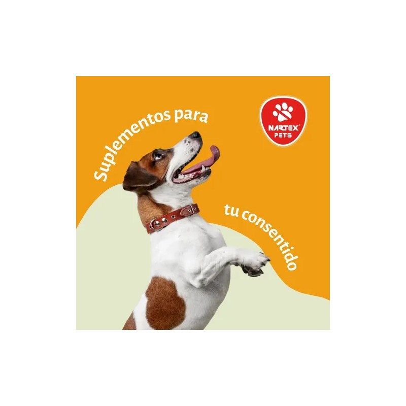 Suplemento Alimenticio Para Perros/gatos Con Colágeno 70g