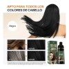 Champ Qiye3 3 En 1 Negro 500ml Kit Profesional Cubre