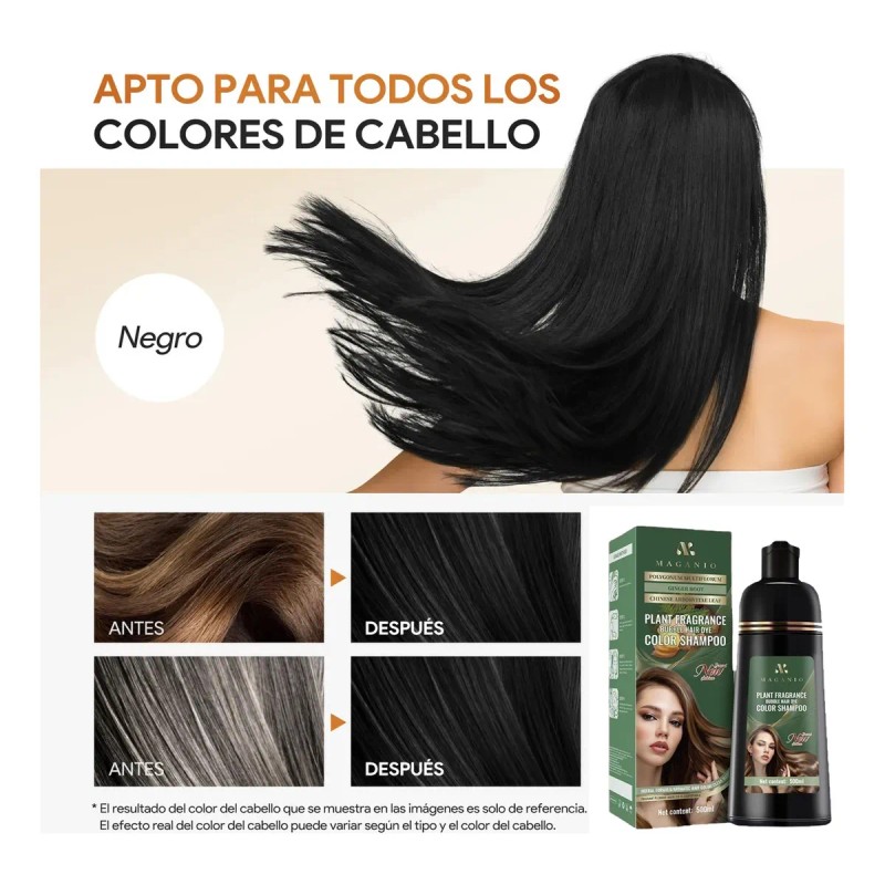 Champ Qiye3 3 En 1 Negro 500ml Kit Profesional Cubre