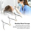 3pcs Residual Root Forceps Set Stainless Steel Dental Root Fragments